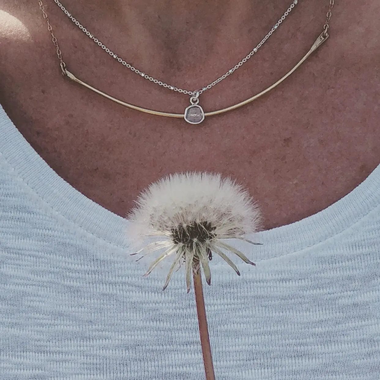 Diamond Slice Sterling Silver Necklace Liv & B