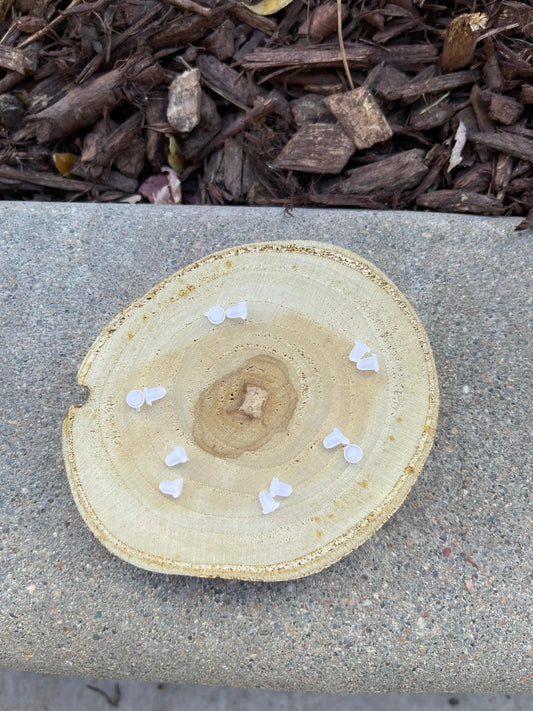 Rubber Earring Backs Liv & B